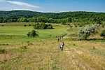 _DSC5706