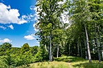 _DSC5770