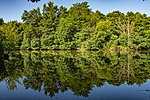 _DSC5766