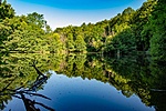 _DSC5765