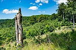 _DSC5772