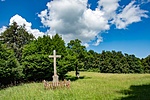 _DSC5767