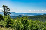 _DSC5769