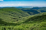 _DSC5775