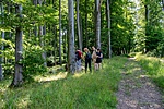 _DSC5771