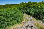 _DSC5785