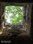 IMG_20220605_105534