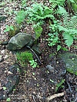 IMG_20220605_121006