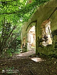 IMG_20220605_112004