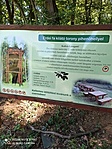 IMG_20220619_125959