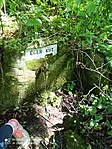 IMG_20220619_144328