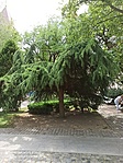 IMG_20220625_115943