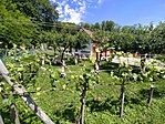 Törpország