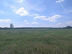 Mező