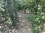 IMG_2516