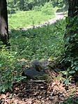 IMG-951ee0385c7add78f280c0338355a754-V