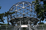 IMG_6487