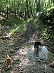 IMG_20220611_163425