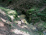 IMG_20220611_164949