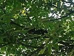 IMG_20220618_185530