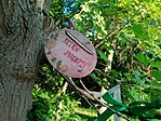 IMG_20220618_185635