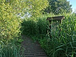 IMG_20220618_185739