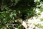 DSC03014