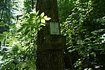 DSC03015