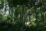 DSC03016
