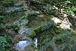 DSC03021