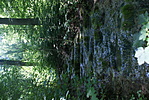 DSC03025