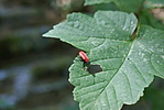 DSC03026