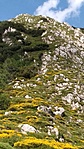 IMG_20220617_172949