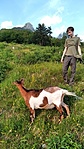 IMG_20220617_191623