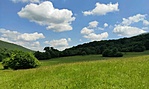 Gy1
