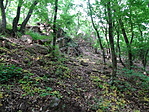 DSC06395