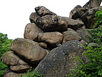 DSC06374