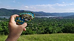 IMG_20220605_162400