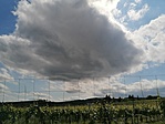 IMG_20220602_151218