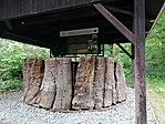 IMG_20220602_162413