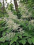 IMG_20220602_162509