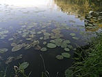 IMG_20220611_165101