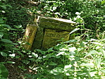 IMG_20220618_131854