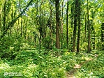 IMG_20220611_142306