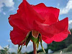 IMG20220625181810
