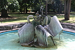 IMG_0381