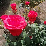 IMG_20220610_154331
