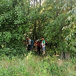 IMG_20220611_091153