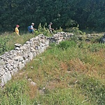 IMG_20220611_090934