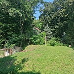 IMG_20220611_092859